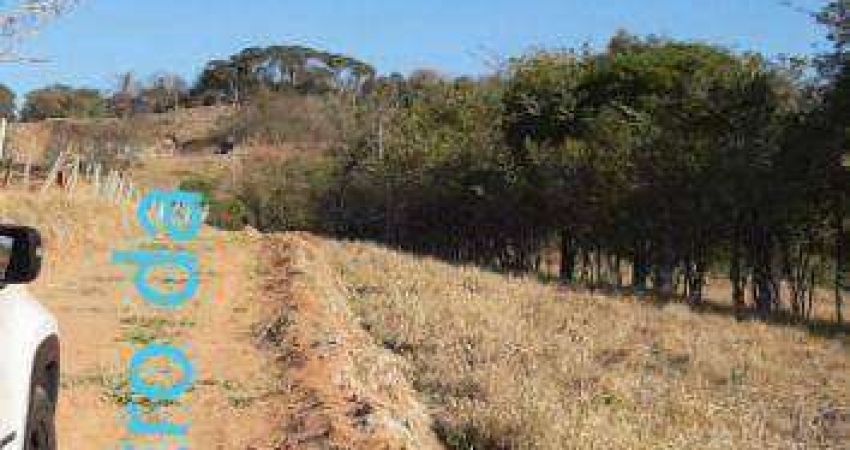 Área à venda, 100000 m² por R$ 2.500.000 - Canta Galo - Pouso Alegre/MG