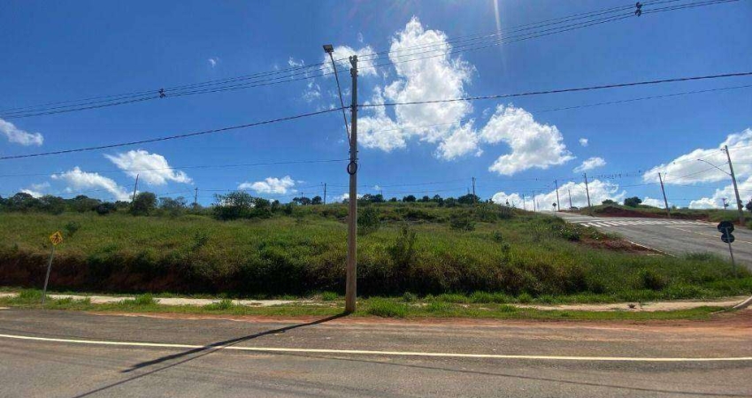 Terreno à venda, 300 m² por R$ 300.000 - Chaves - Pouso Alegre/MG