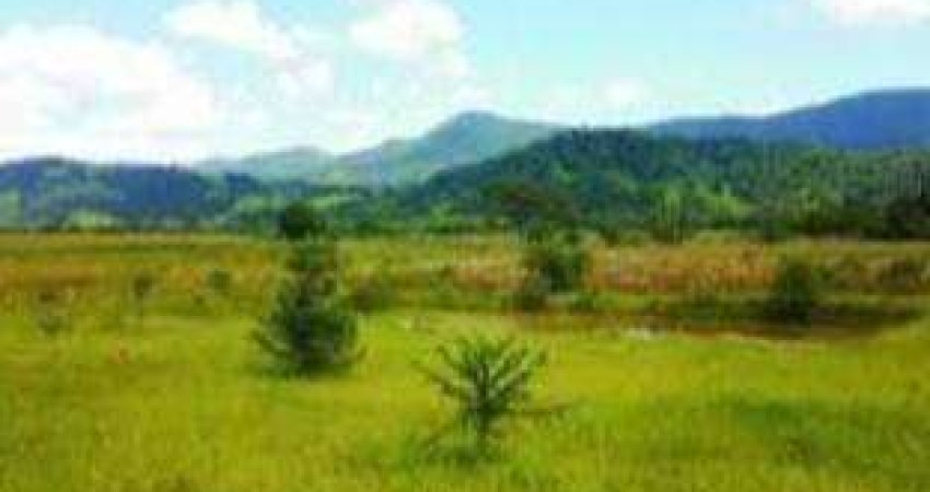 Terreno à venda, 3000 m² por R$ 320.000 - Cervo - Pouso Alegre/MG