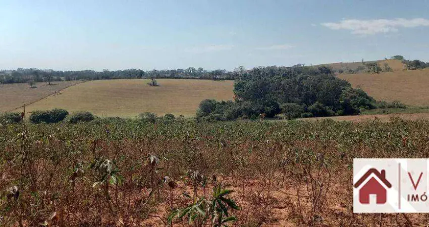 Terreno à venda, 60000 m² por r$ 500.000 - faisqueira - pouso alegre/mg
