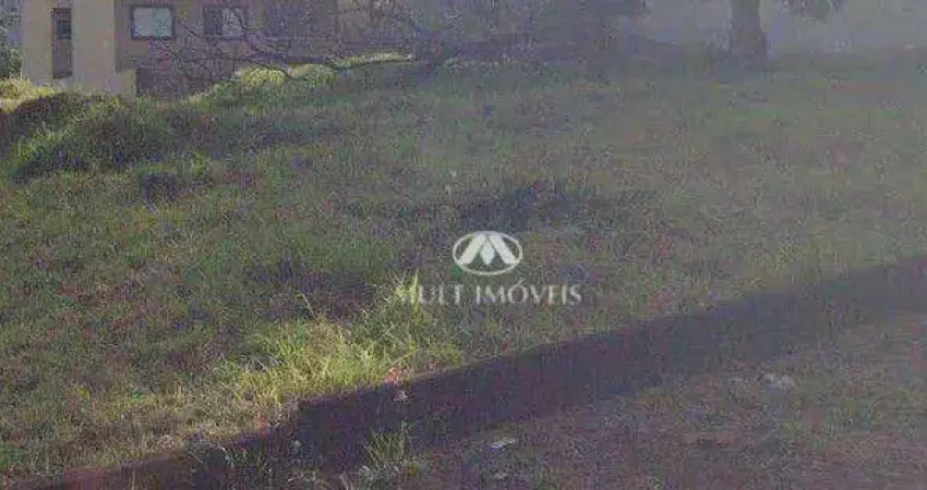 Terreno à venda, 435 m² por R$ 650.000,00 - Jardim Botânico - Ribeirão Preto/SP
