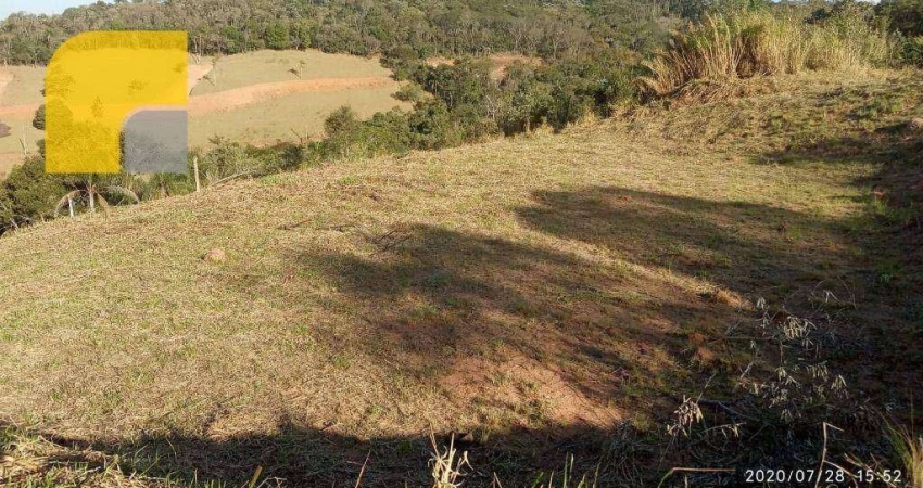 Terreno à venda, 4200 m² por R$ 480.000,00 - Boa Vista dos Silva - Bragança Paulista/SP