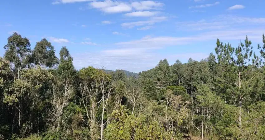 Chácara para Venda em Campo Alegre, Bateias de Baixo