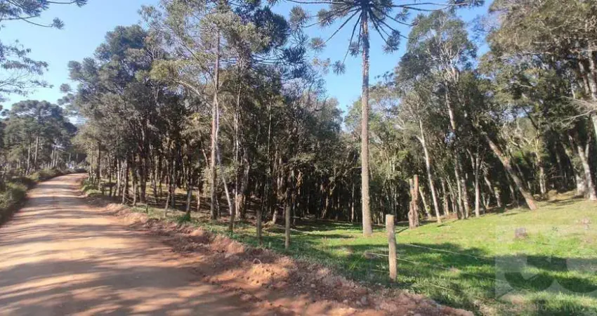 Chácara / sítio à venda no Saltinho, Campo Alegre 