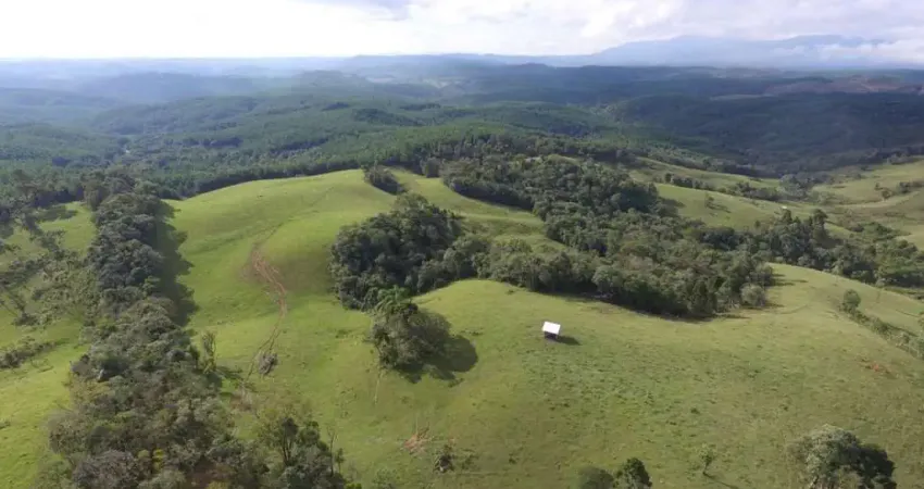Chácara / sítio à venda no Cubatão, Campo Alegre 
