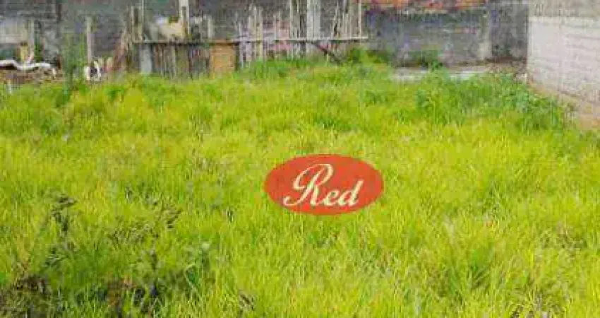 Terreno à venda, 785 m² por R$ 800.000,00 - Vila Amélia - Poá/SP