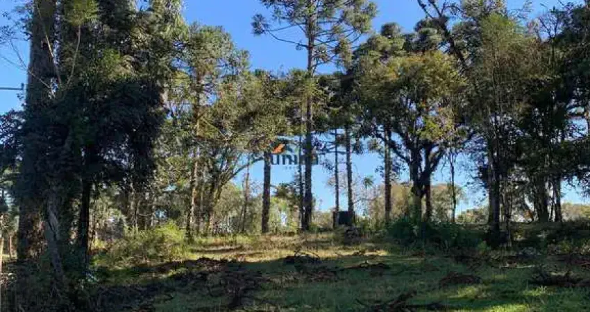 Chácara / sítio à venda no Centro, Campo Alegre