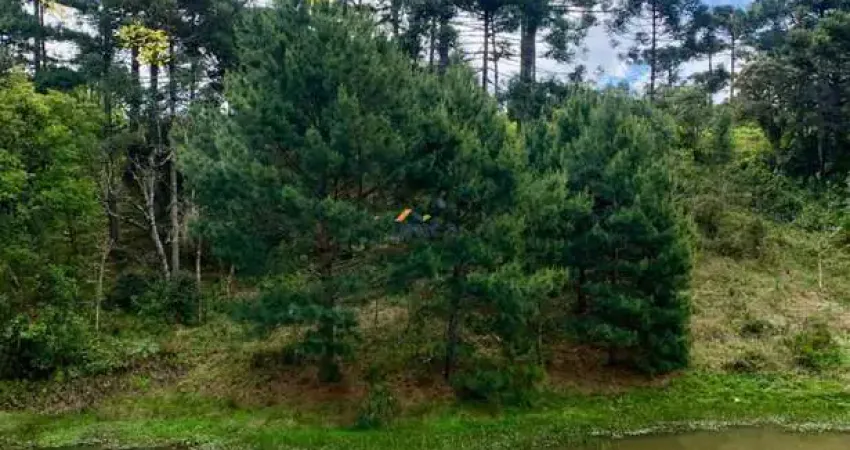 Terreno à venda no Campestre, Campo Alegre