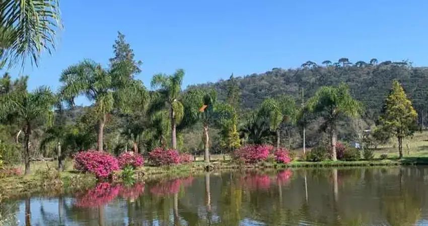 Chácara / sítio à venda no Centro, Campo Alegre