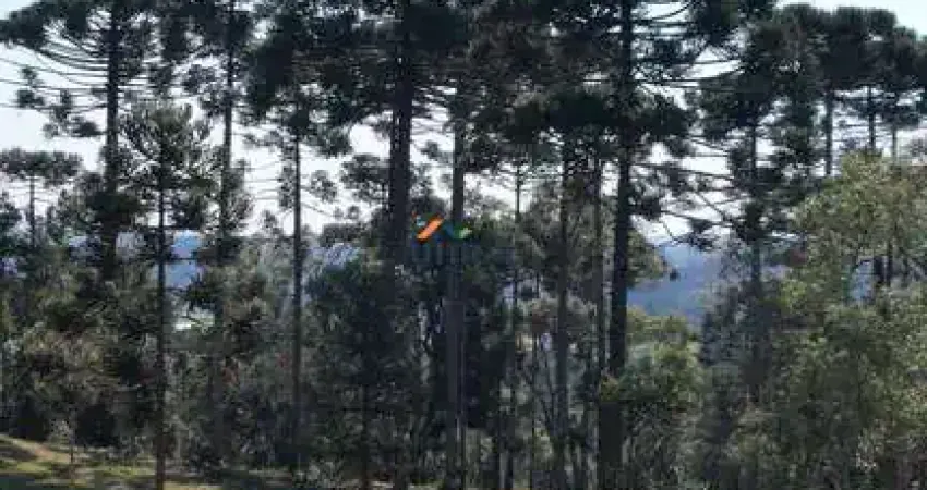 Chácara / sítio à venda no Centro, Campo Alegre