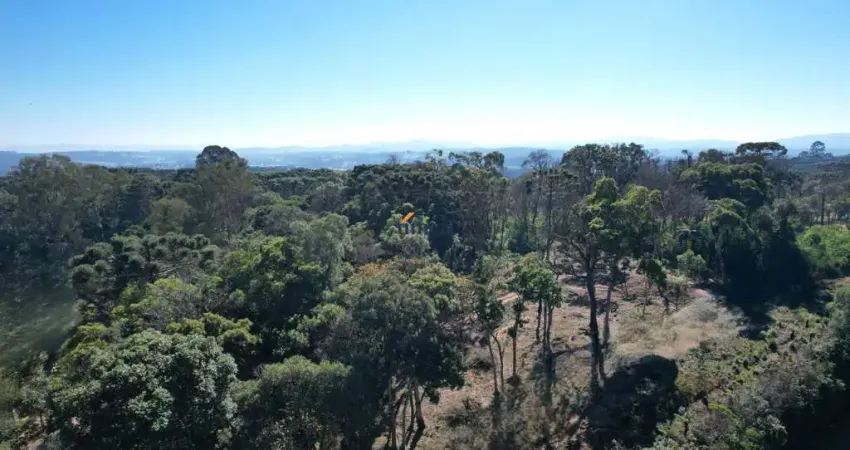 Chácara / sítio à venda no Centro, Campo Alegre 