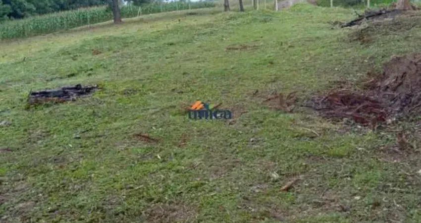 Chácara / sítio à venda no Centro, Campo Alegre 