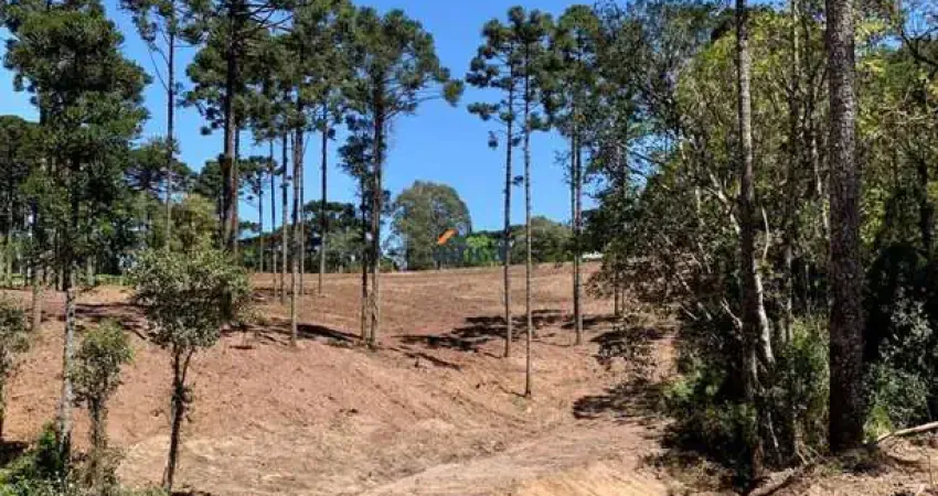 Chácara / sítio à venda no Centro, Campo Alegre