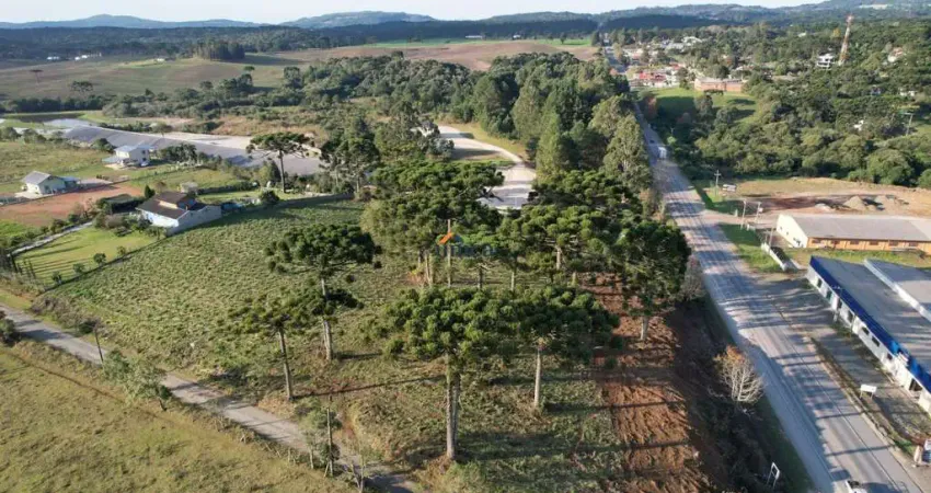 Terreno comercial à venda no Centro, Campo Alegre