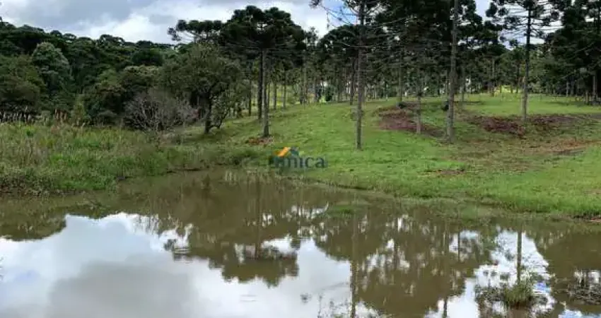 Chácara / sítio à venda no Centro, Campo Alegre 