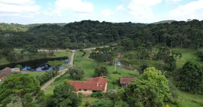 Chácara / sítio com 3 quartos à venda no Centro, Campo Alegre 