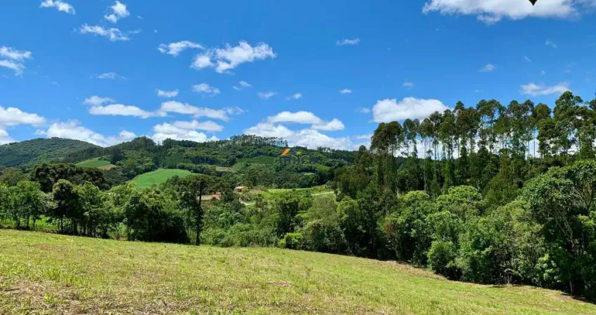 Chácara / sítio à venda no Centro, Campo Alegre 