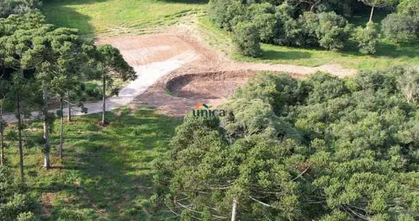 Terreno à venda no Centro, Campo Alegre