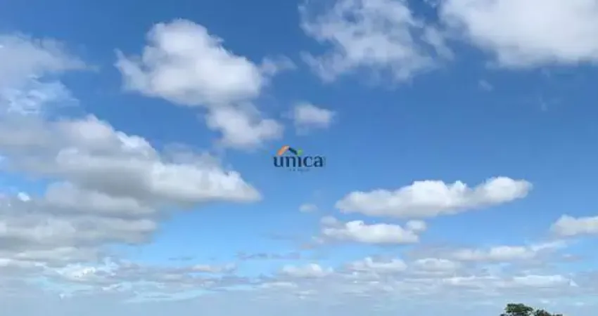 Chácara / sítio com 1 quarto à venda no Centro, Campo Alegre