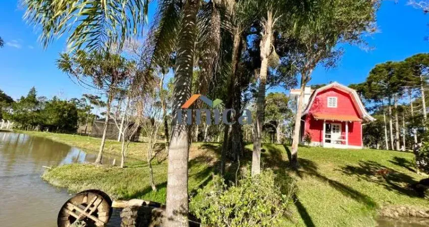 Chácara / sítio com 2 quartos à venda no Centro, Campo Alegre