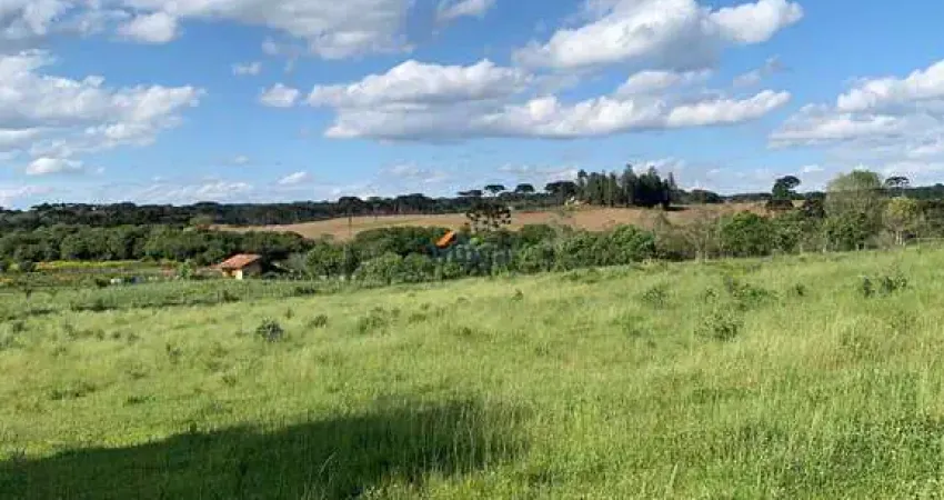 Chácara / sítio à venda no Centro, Campo Alegre