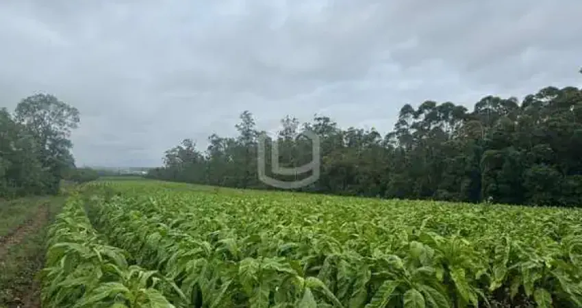 Chácara / sítio à venda na Estrada da Brusca, Esperança, Içara