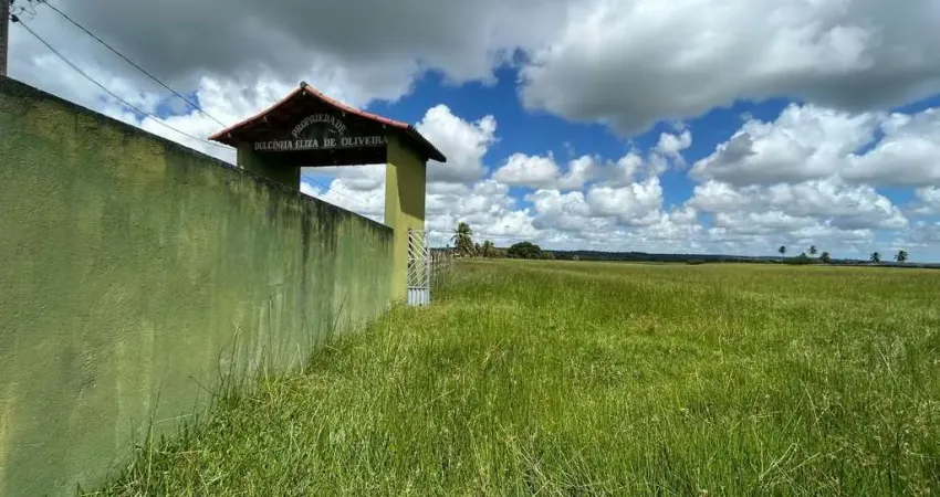 Fazenda com 37 Hectares à Venda em Nísia Floresta – Excelente Localização e Alto