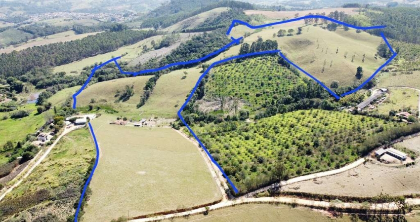 Sítio para Venda em Pinhalzinho, zona rural, 3 dormitórios, 1 suíte, 3 banheiros, 2 vagas