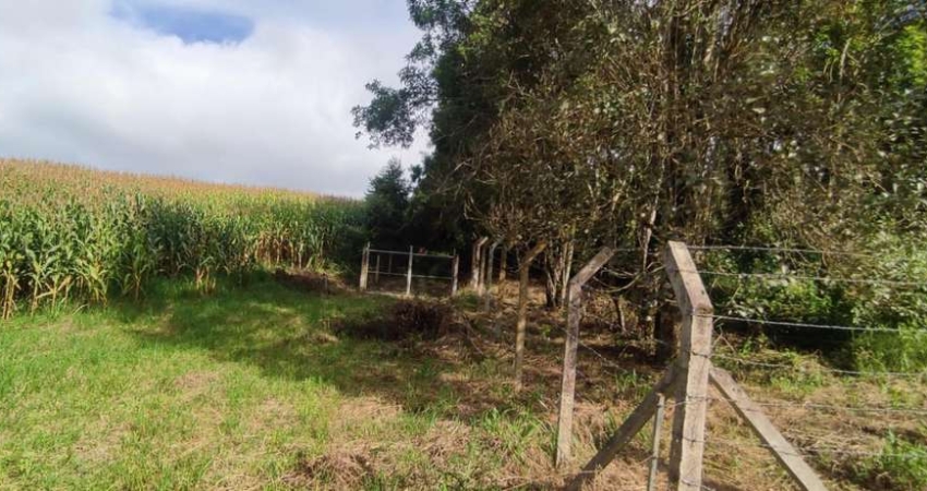 Chácara / sítio à venda na Estrada da Ratada, Zona Rural, Campo Largo