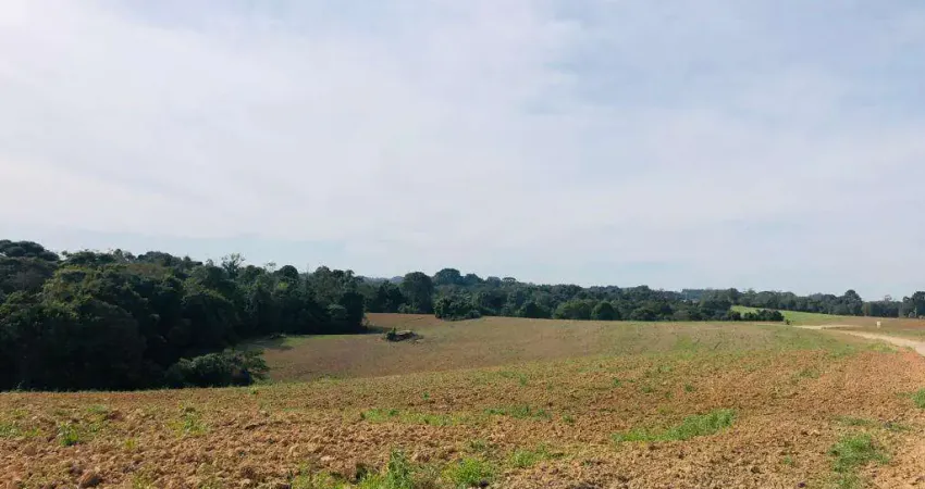 Chácara / sítio à venda na Rua Adão Soares de Oliveira, s/n, Capela Velha, Araucária