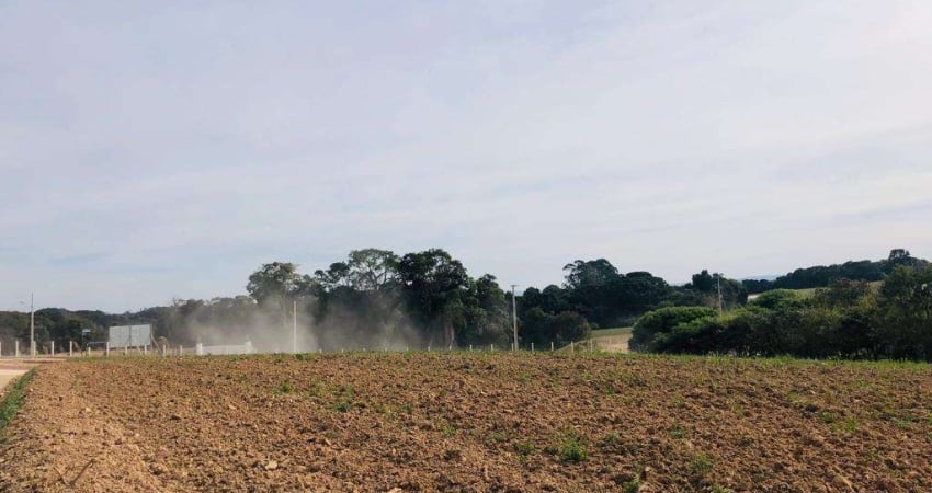 Chácara / sítio à venda na Rua Adão Soares de Oliveira, s/n, Capela Velha, Araucária