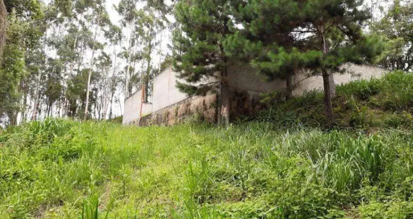 Terreno à venda na Rua Quintino Bocaiúva, s/n, Vila Bancária, Campo Largo