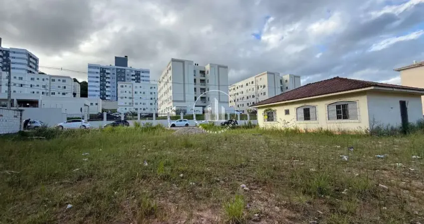 Terreno à venda na Rua Lourival Luiz Gomes, 00, Areias, São José