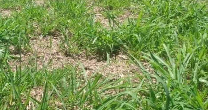 Terreno Residencial à venda, Centro, Charqueada - TE0088.
