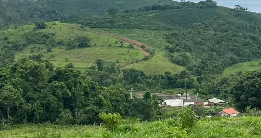 Propriedade de dupla aptidão _ café e pecuária _ região de caconde - sp