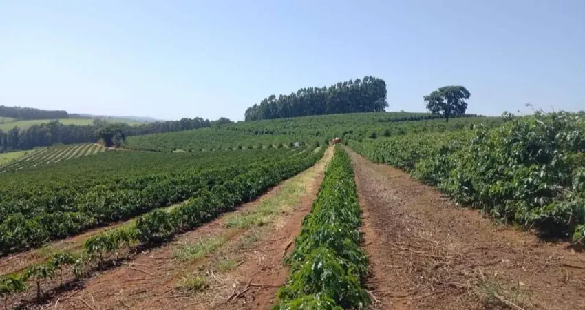 Sítio _ 17.5 alqueires _ 80 mil pés de cafés_sul de minas_portera fechada
