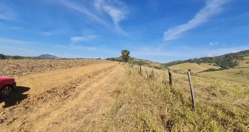 Fazenda na região de caconde _ área de 65 alqueires _ propriedade mista, grãos e pecuária.