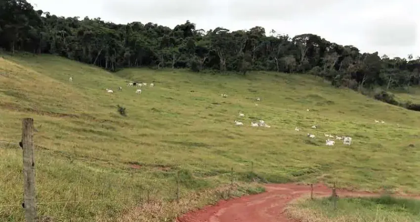 Fazenda 130.80 hectares _ aptidão pecuária e áreas de plantio _ formada em pastagem