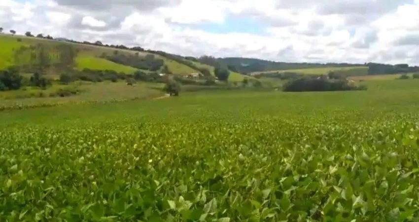 Fazenda de 50 alqueires _ planta grãos e café _ atualmente soja