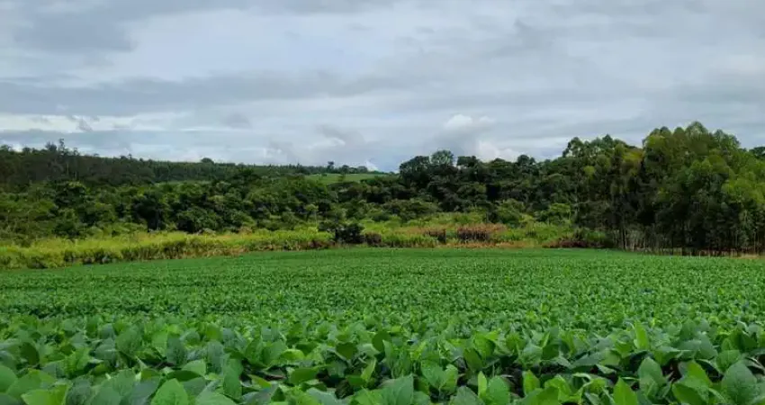 Sítio de 5.5 alqueires _ beira da pista entre são joão e pinhal_ soja
