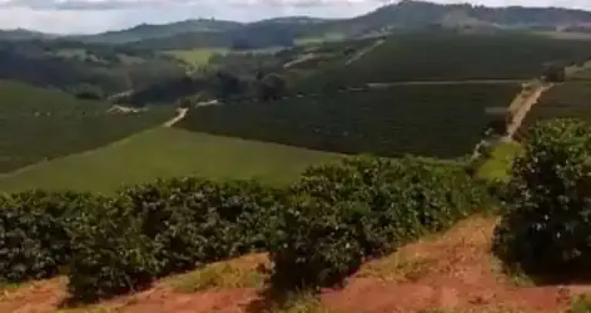 Fazenda de 50 alqueires _ café _ região de campestre _ botelhos_ divisa nova, sul de minas;