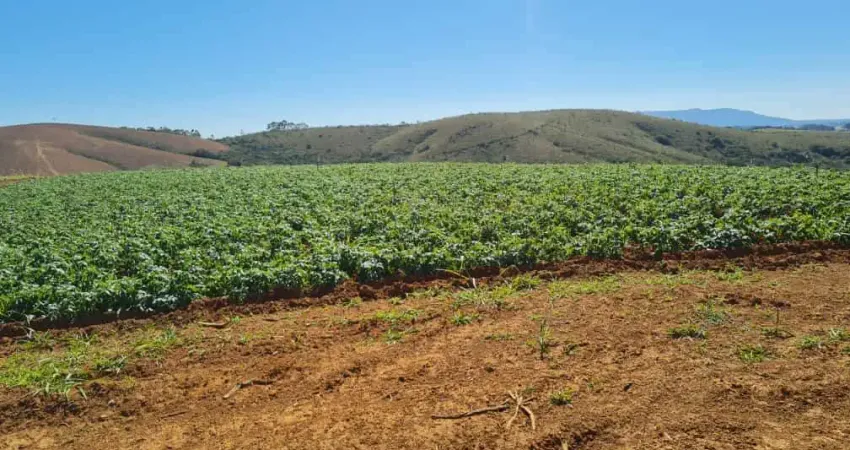 Fazenda agrícula _  378 hectares _ 76% de aproveitamento _ sul de minas