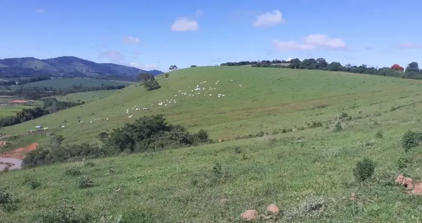 Fazenda de 443,7 hectares _boa de água_ propriedade mista (pecuária e agricultura)_sul de minas.