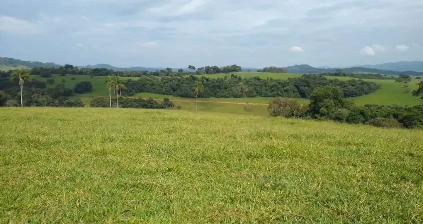 Fazenda de 44 alqueires _ pecuária & agricultura _ região de cabo verde/ divisa nova/botelhos/mg;