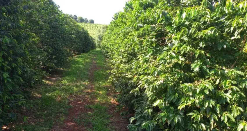 Fazenda à venda na Área Rural, Zona Rural, Campanha