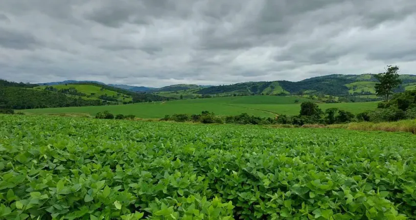 Fazenda para agricultura_plana_aproveitamento de 80%_região de itapira-sp