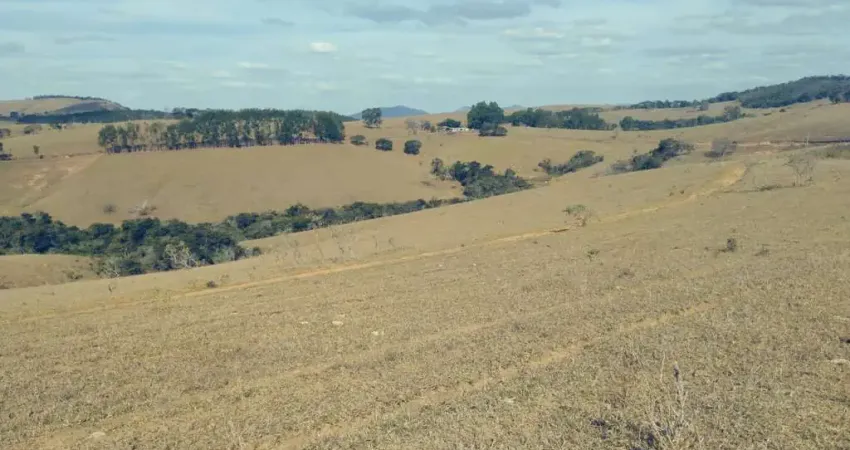 Fazenda mista de 472 hectares _ dupla aptidão, lucro garantido!