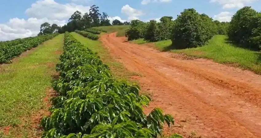 Fazenda à venda na Área Rural, Zona Rural, São Gonçalo do Sapucaí