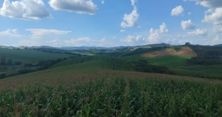 Terra fértil: região reconhecida pela alta produtividade e qualidade do solo._sul de minas