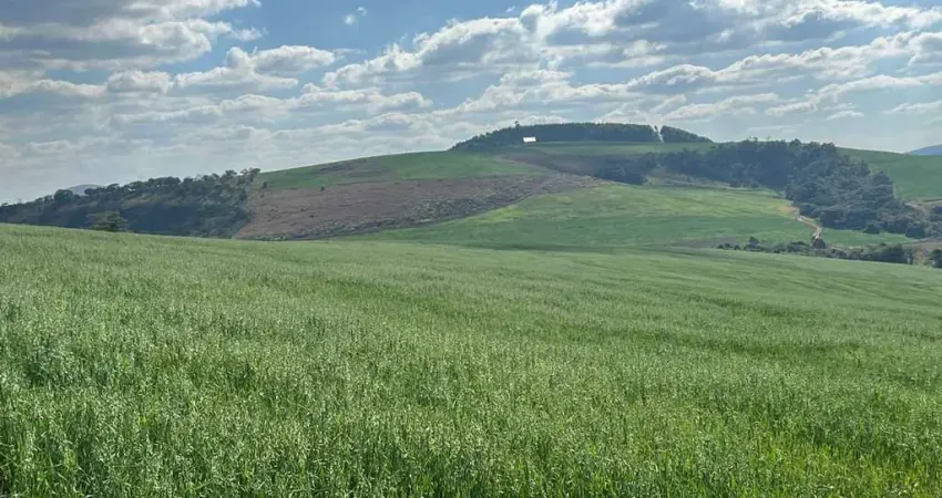 Fazenda _ área de 650 hectares _ agricultura e pecuária_ região de andrelândia/mg